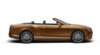 my_gt_speed_convertible_profile_2_small.jpg